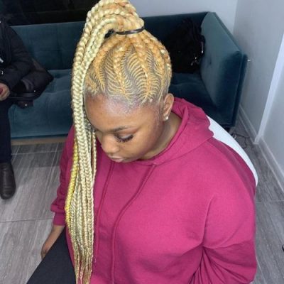 17 Hot Styles – Braided Ponytail for Black Hair