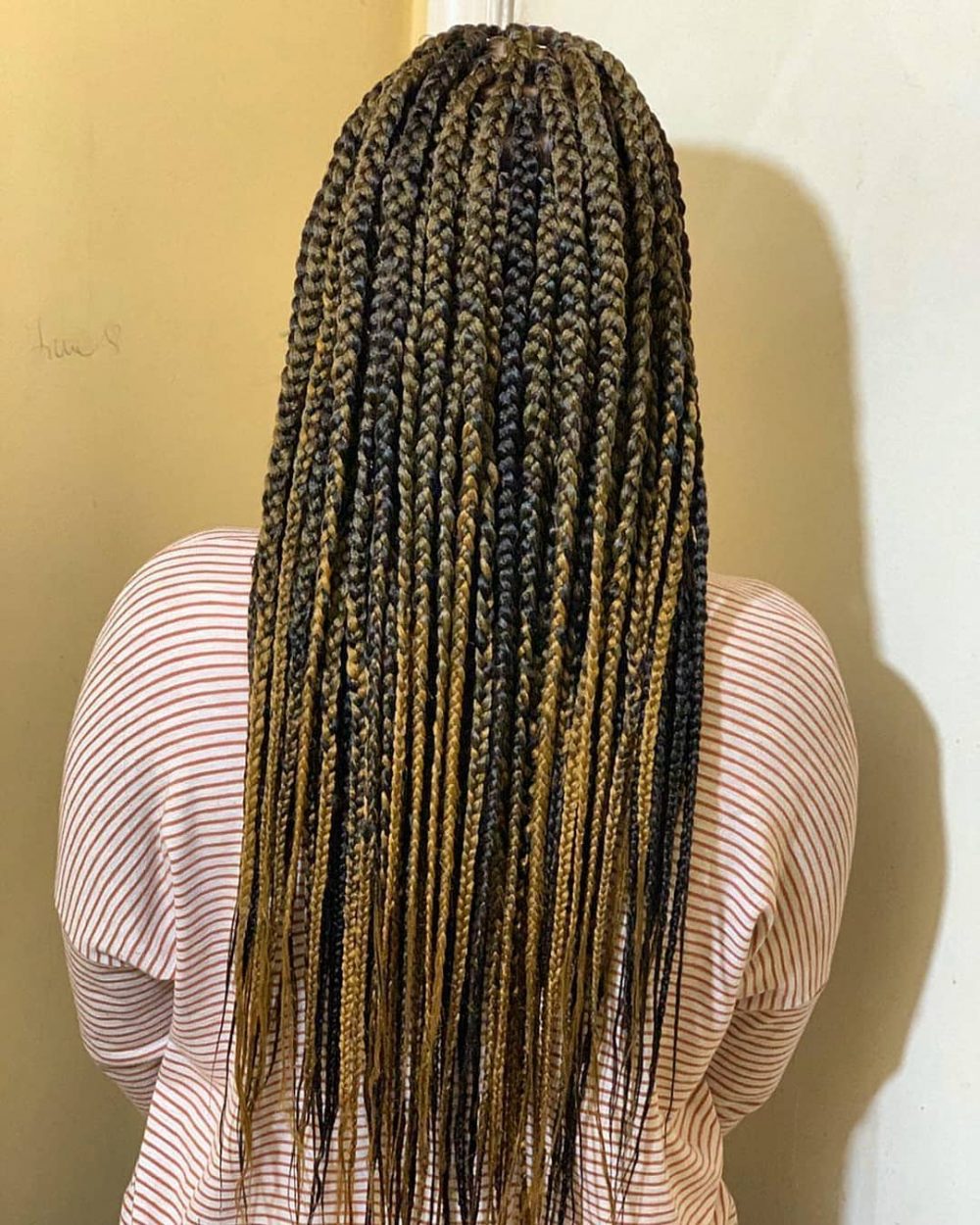 15 Most Amazing Ways to Get Poetic Justice Braids