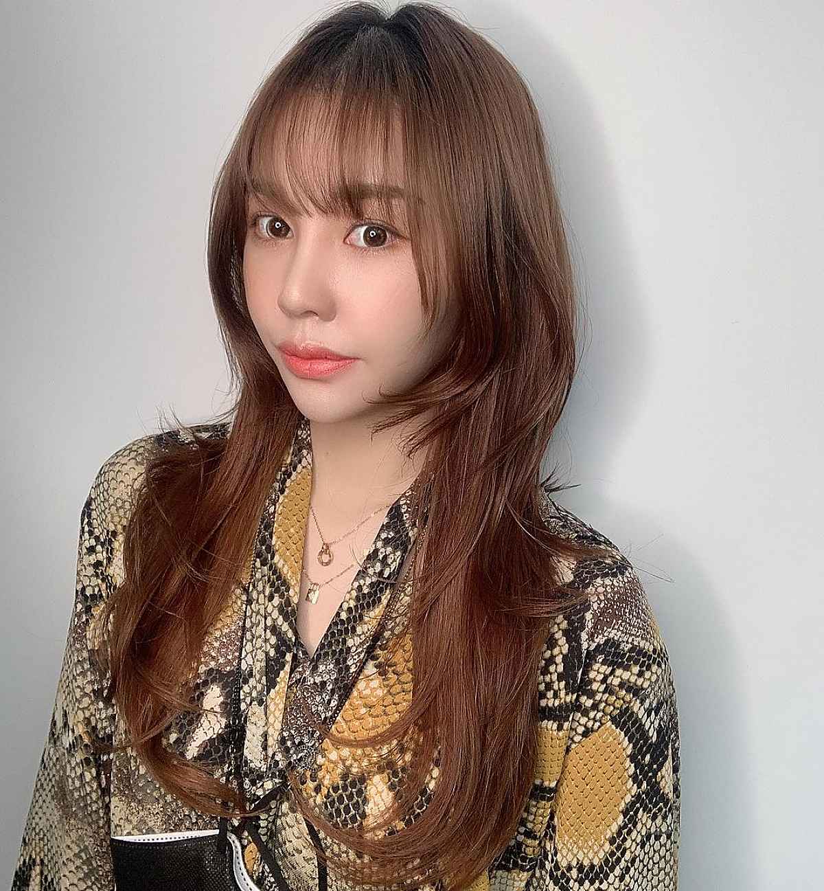 26 Hottest Ways to Get The Hime Haircut Trend