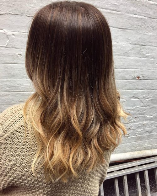 21 Best Brown to Blonde Hair Color Ideas and Tips