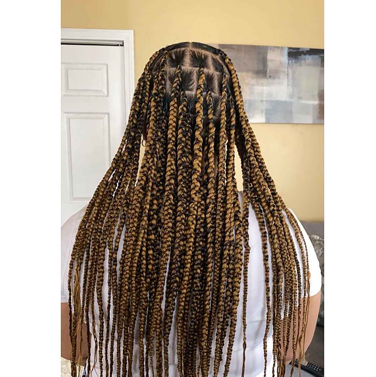 24 Hottest Blonde Box Braids for 2025
