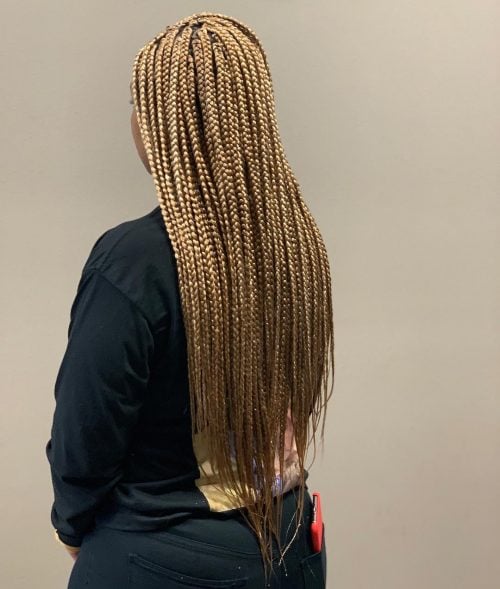 24 Hottest Blonde Box Braids for 2025