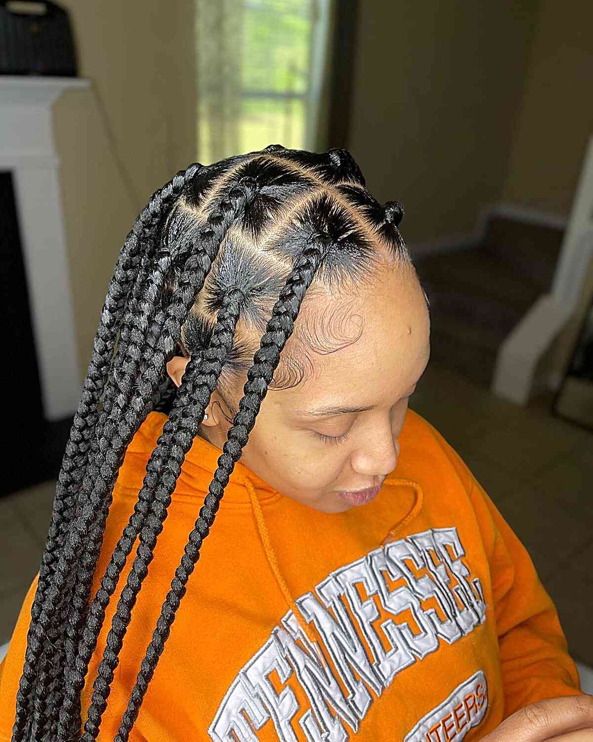 27 Stunning Knotless Braids You Can’t Ignore This Year