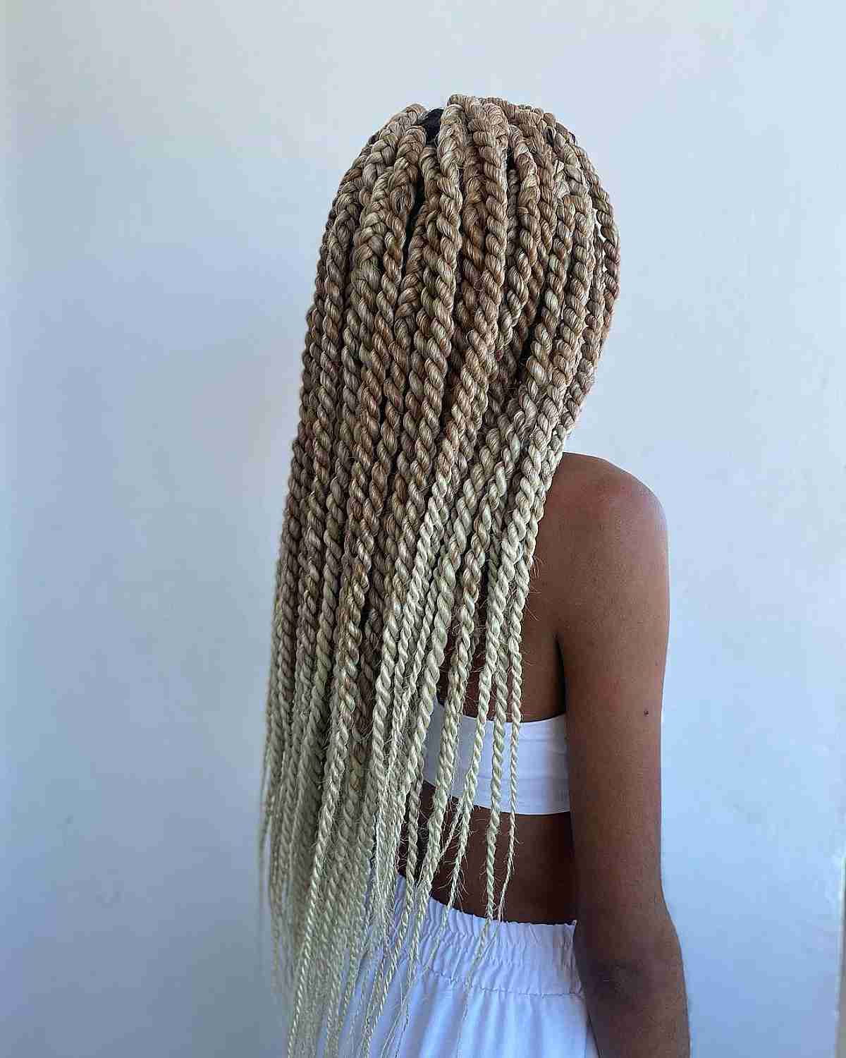 The 52 Hottest Twist Braid Styles Trending in 2025