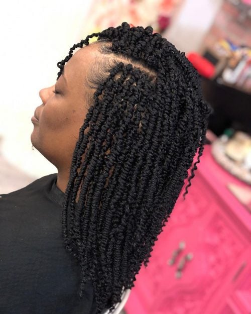 The 52 Hottest Twist Braid Styles Trending in 2025