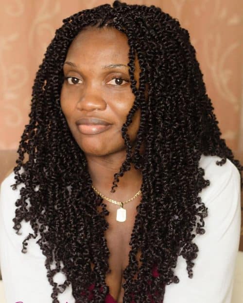 The 52 Hottest Twist Braid Styles Trending in 2025