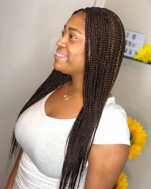 32 On-Point Micro Braids Black Women Are Getting in 2025