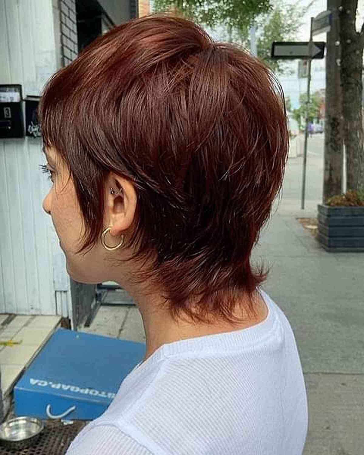 The “Wixie Cut” Hair Trend: 31 Incredible Ways to Get It