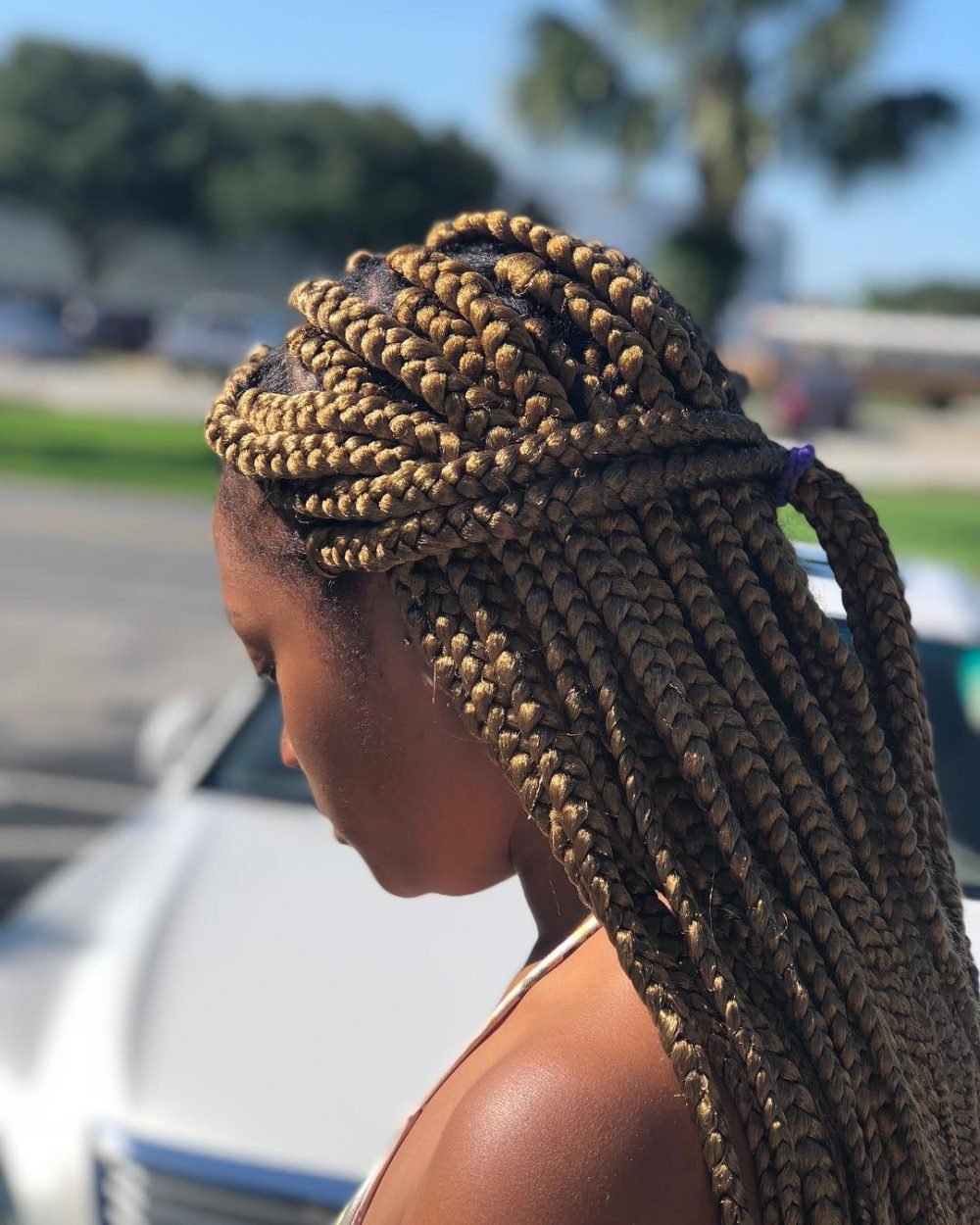 23 Hot Lemonade Braids Inspired by Beyoncé