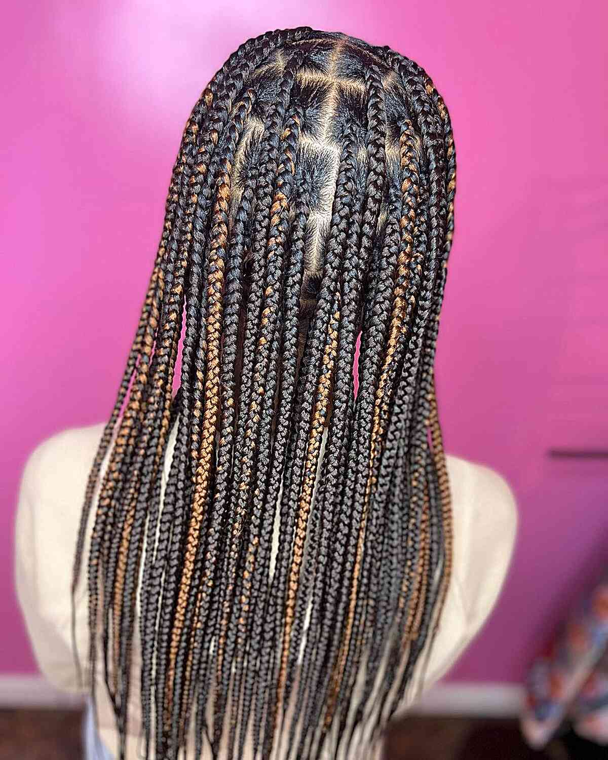 30 Hottest Knotless Box Braids Hairstyles Women of Color Are Getting in 2025