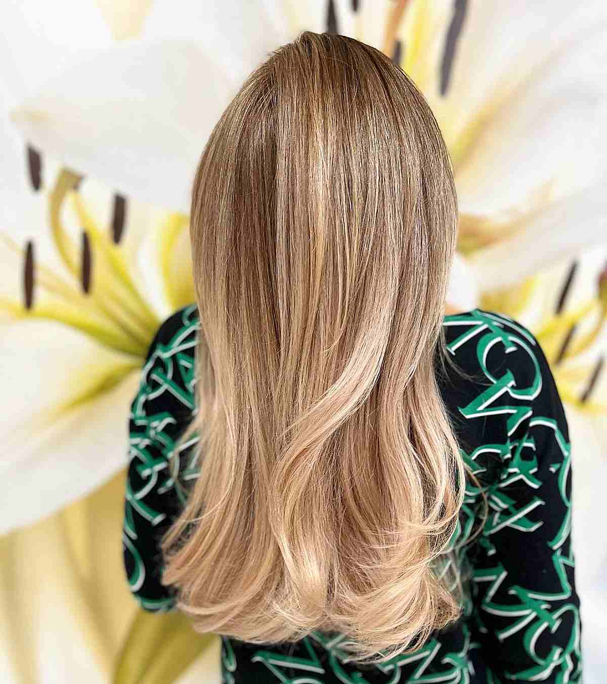 What are Balayage Highlights? 40 Perfect Examples