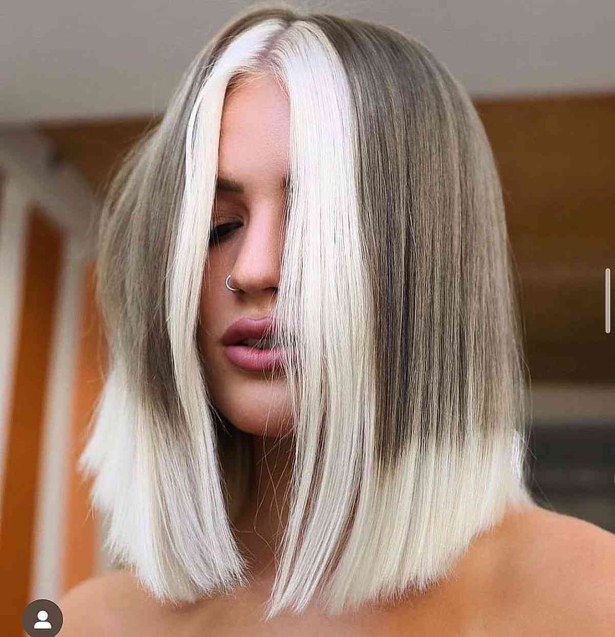 46 Stunning Examples of Brown and Blonde Hair
