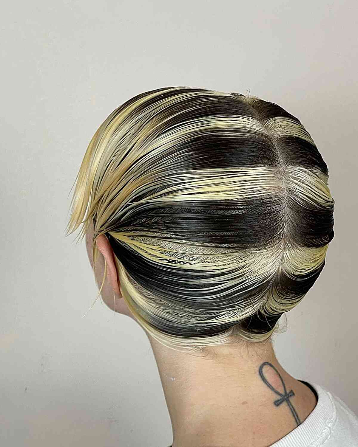 28 Skunk Stripe Hair Ideas to Try This Trend Yourself