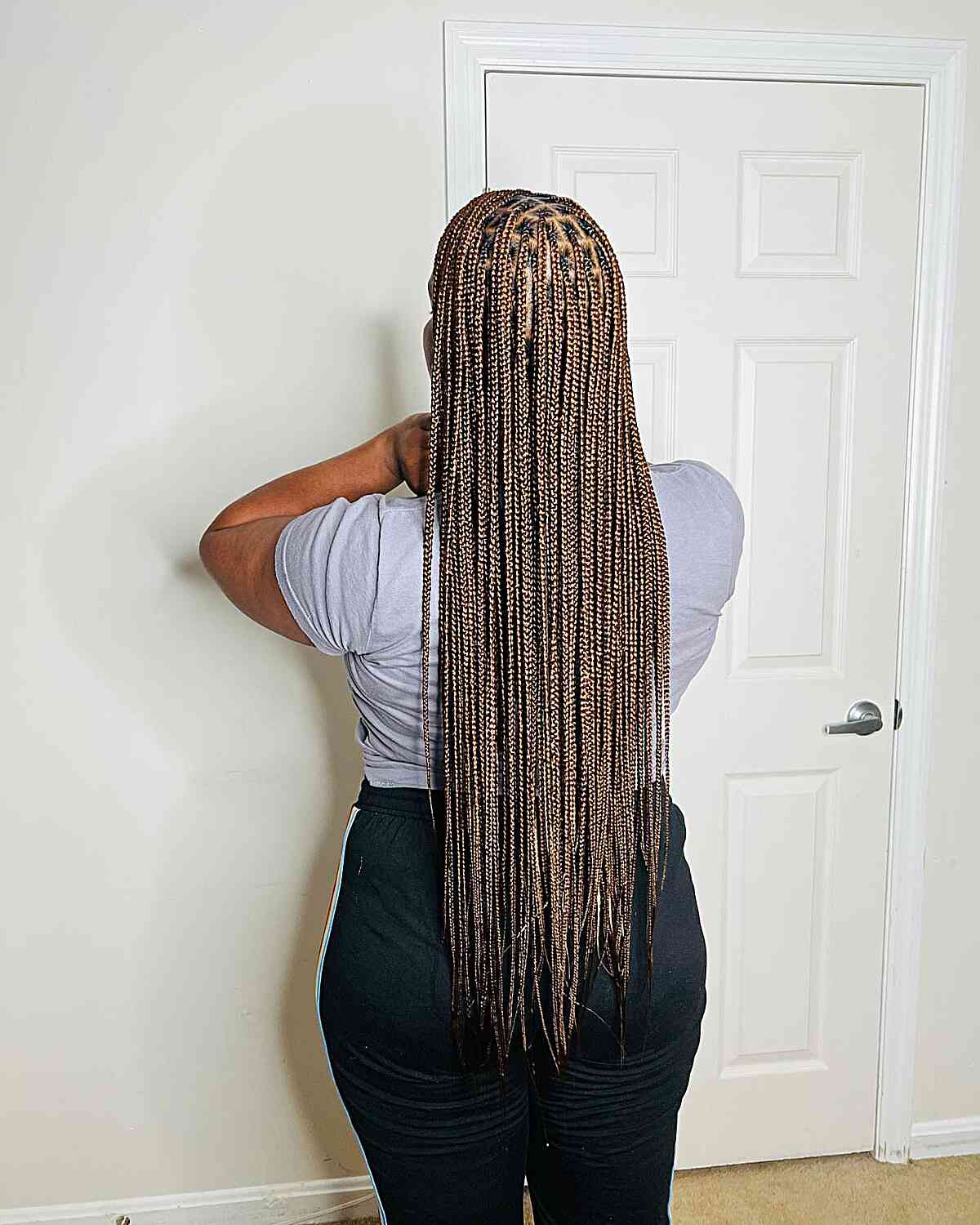 25 Coolest Small Knotless Braids Black Women Are Getting in 2025