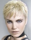 Looks for Short Hair (61)