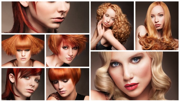 Red Hot by Anne Veck
