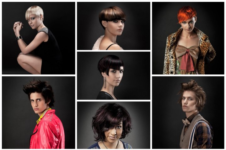 CC5 Collection