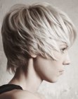 Cool Short Hairstyles (59)
