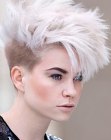 Cool Short Hairstyles (59)