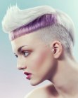 Inspiration for Short Hair (58)