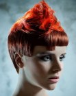 Inspiration for Short Hair (58)