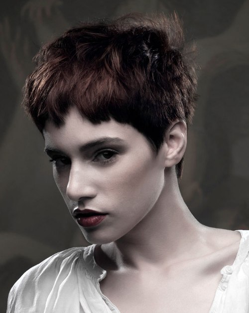 Simple Short Hairstyles