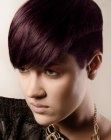 New Cuts for Short Hair (56)