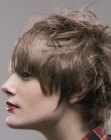 New Short Haircuts Pictures (55)