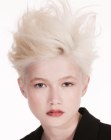 New Short Haircuts Pictures (55)