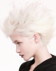New Short Haircuts Pictures (55)