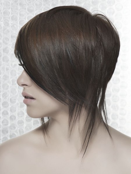CHIC-ART