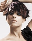 New Short Hairstyles Pictures (54)
