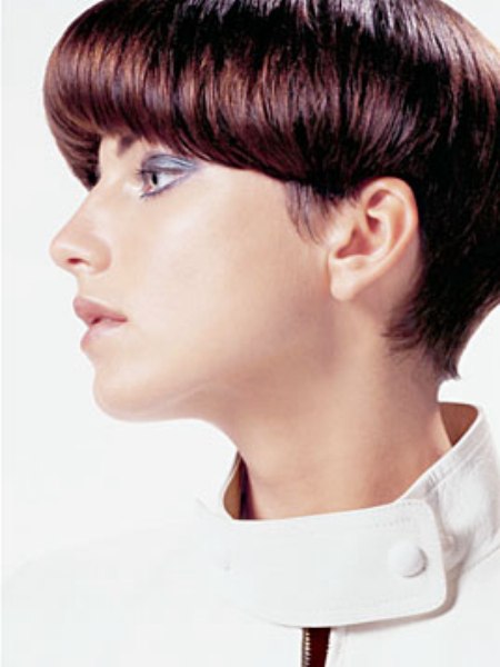 Hairstyles by La Biosthetique