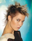 New Short Hairstyles (52)