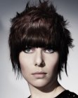 New Short Hairstyles (52)