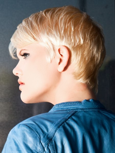 Guys & Dolls Intercoiffure