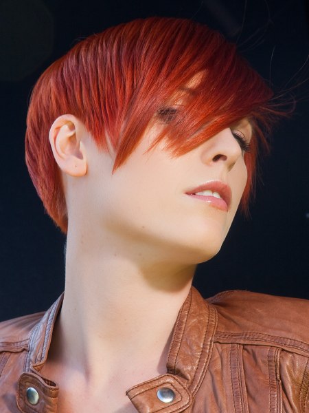 Guys & Dolls Intercoiffure