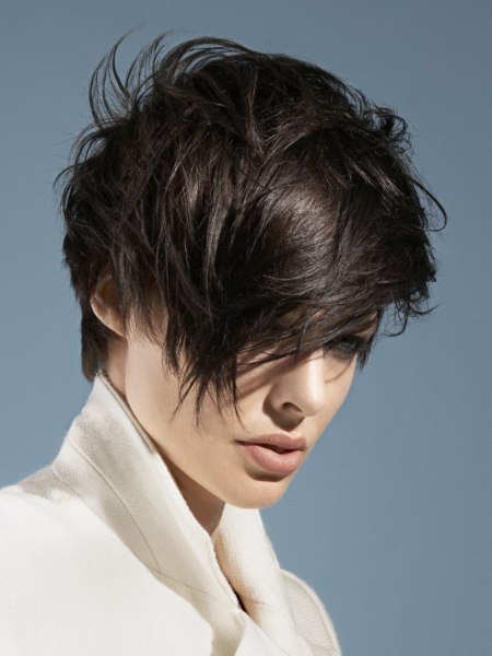 Mister by Peter Prosser Hairdressing