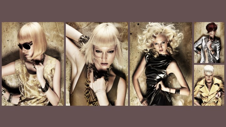 Gold Collection - Joey Scandizzo