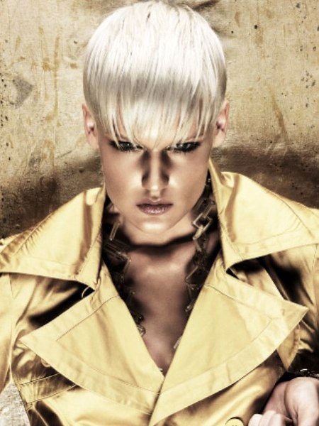 Gold Collection - Joey Scandizzo