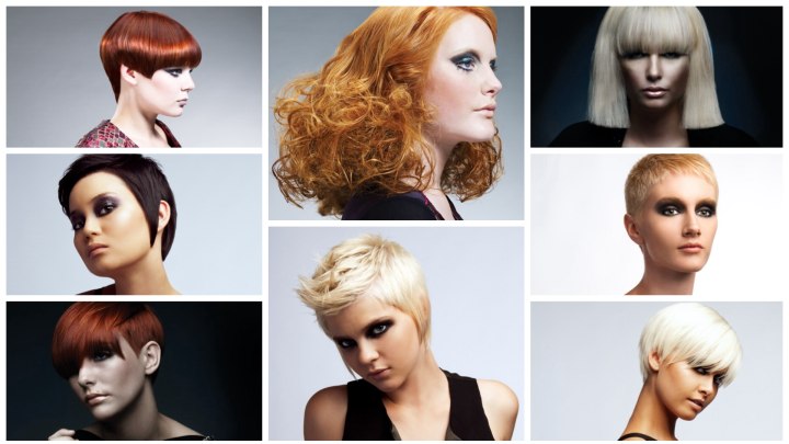 New Zealand Hairdresser of the Year Finalists