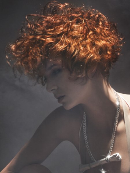 New Zealand Hairdresser of the Year Finalists
