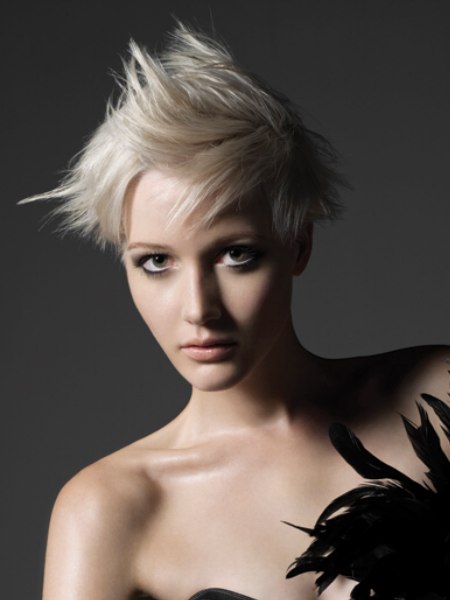 Australian Hairdresser of the Year Finalists
