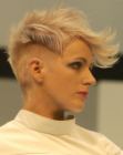 Modern Short Hairstyles (46)