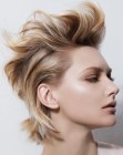 Modern Short Hairstyles (46)