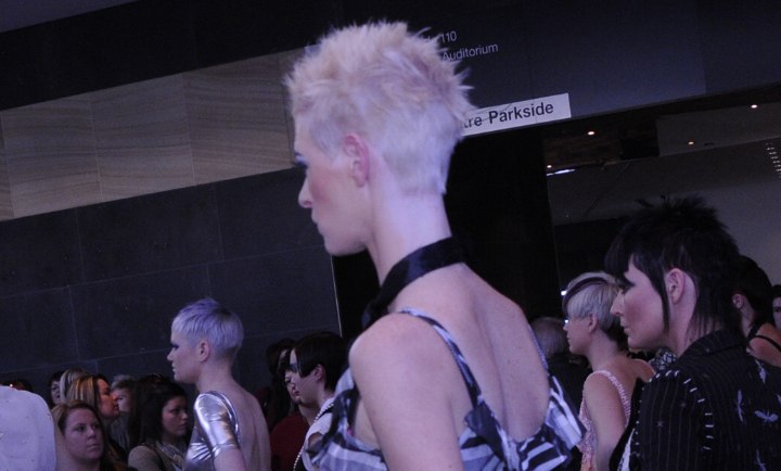 Androgynous Spikes