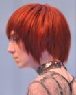 Versatile Pixie