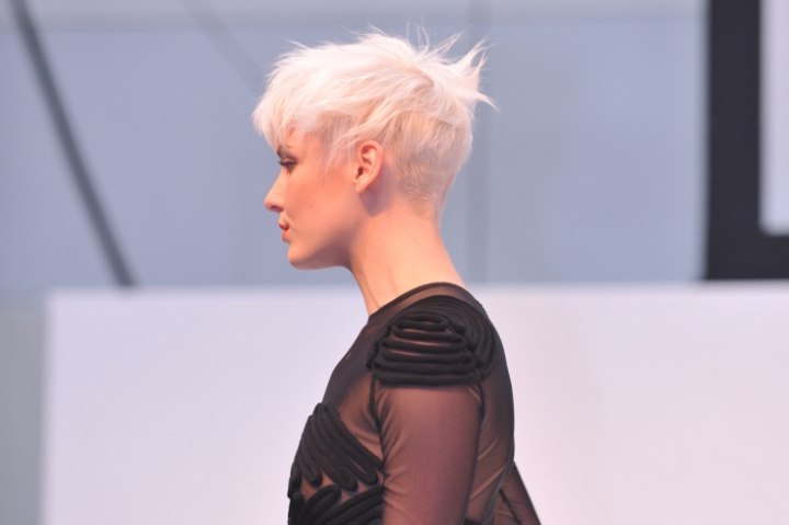 Versatile Pixie
