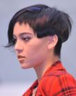 Short Hair Trends (45)