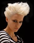Trends for Short Hair (44)